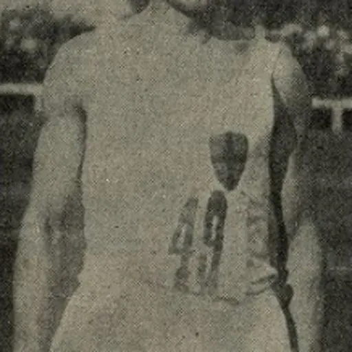 Portrait of Ferruccio Bruni