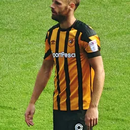 Portrait of David Meyler