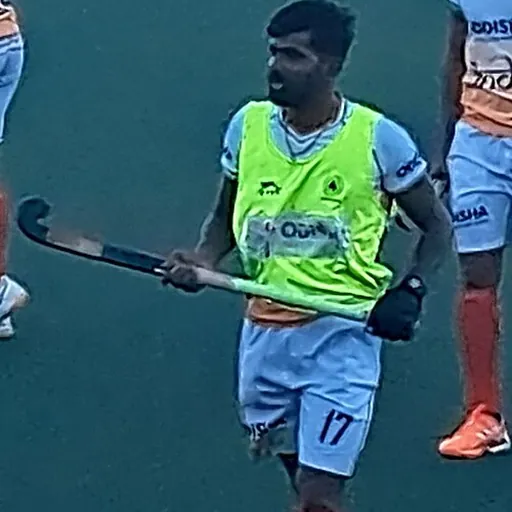 Portrait of Sumit Walmiki