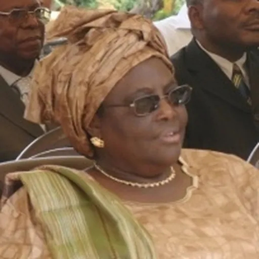Portrait of Haman Adama