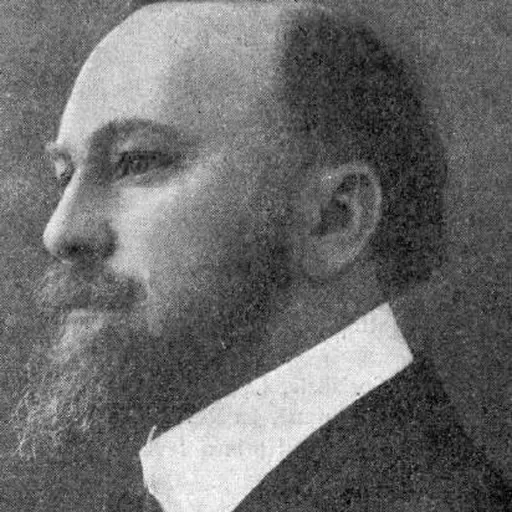 Portrait of George Diamandy