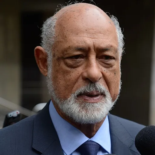 Portrait of Domício Proença Filho