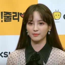 Portrait of Jung Hye-sung