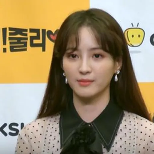 Portrait of Jung Hye-sung