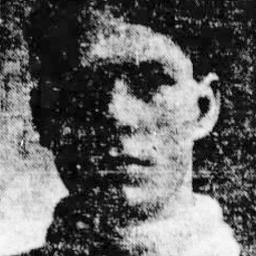 Portrait of Eddie King