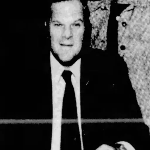 Portrait of Donald Manes