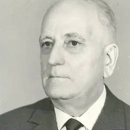 Portrait of Demostene Botez