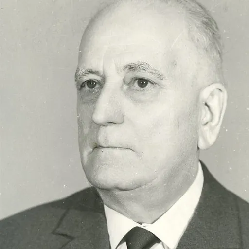 Portrait of Demostene Botez