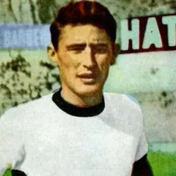 Portrait of Bruno Giorgi