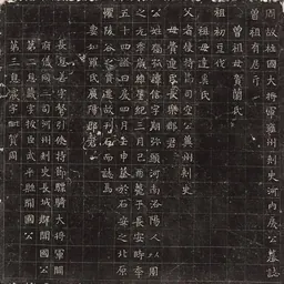 Portrait of Dugu Xin