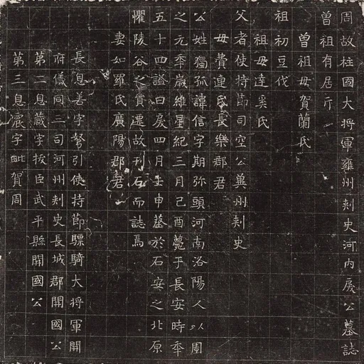 Portrait of Dugu Xin