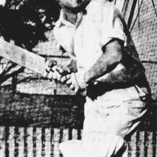 Portrait of Peter Burge