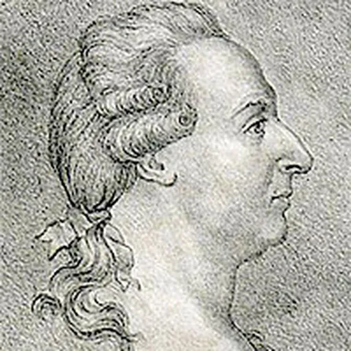Portrait of Johan Wilcke