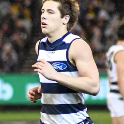Portrait of Lachlan Fogarty