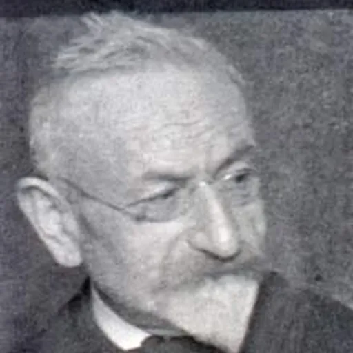 Portrait of Eugène Vallin