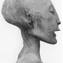 Portrait of The Younger Lady