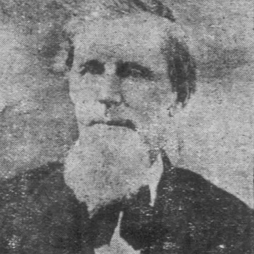 Portrait of Levi W. Barden