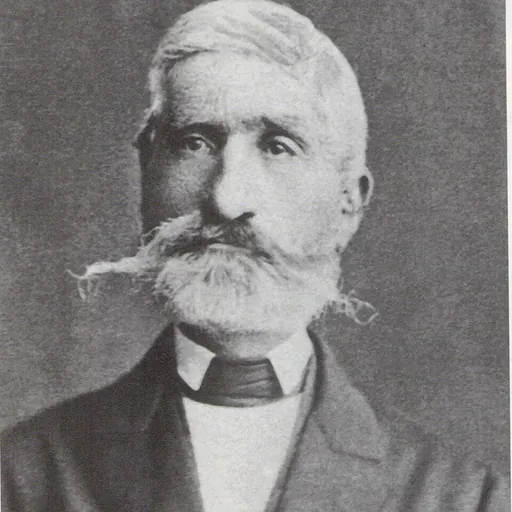 Portrait of Alexander Karađorđević, Prince of Serbia