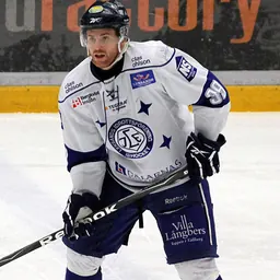 Portrait of Daniel Hermansson