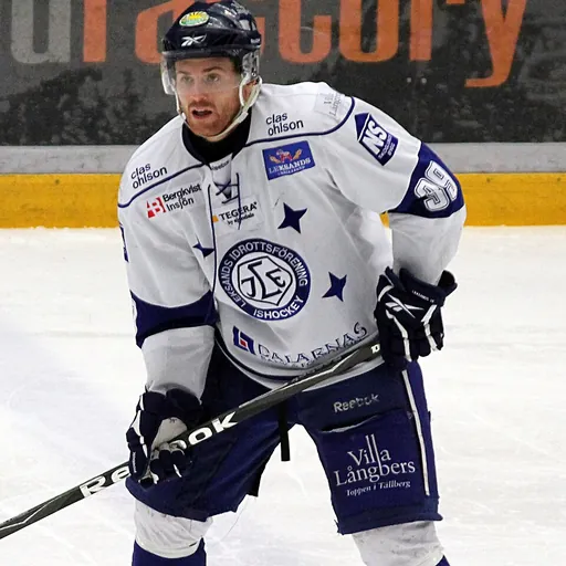 Portrait of Daniel Hermansson