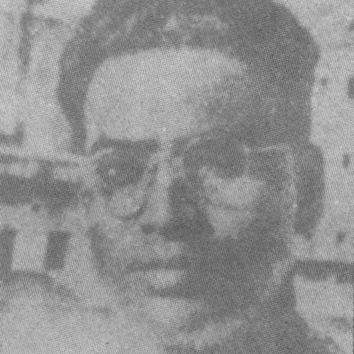 Portrait of Lalmohan Sen