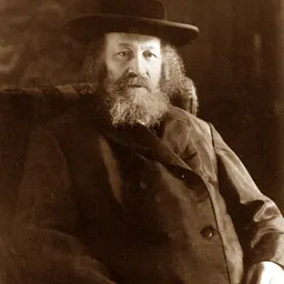 Portrait of Yosef Tzvi Dushinsky