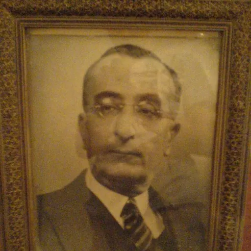 Portrait of Mirza Ismail
