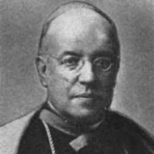 Portrait of Francisco Plancarte y Navarrete