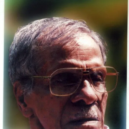 Portrait of N. N. Pillai