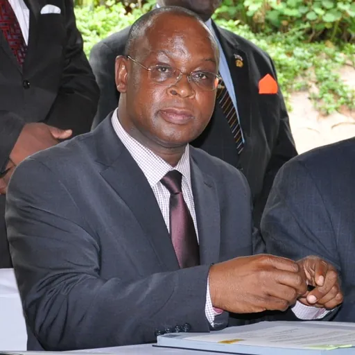 Portrait of Maxwell Mkwezalamba