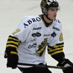 Portrait of Stefan Johansson