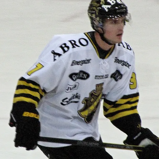Portrait of Stefan Johansson