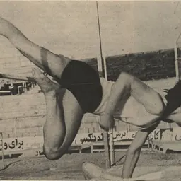 Portrait of Maryam Sedarati
