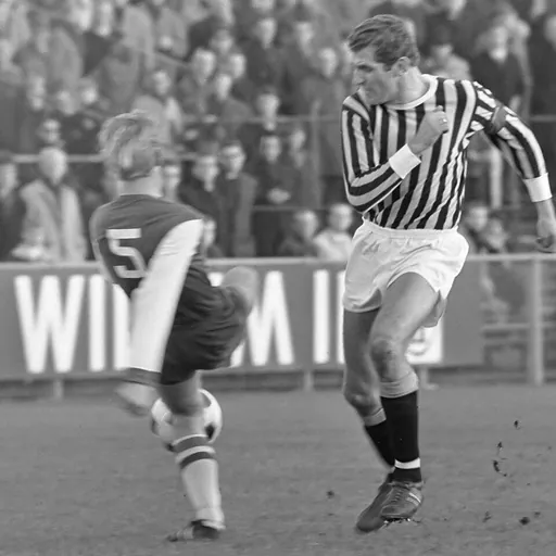 Portrait of Henk Bosveld