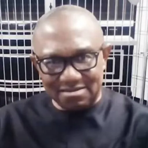 Portrait of Peter Obi