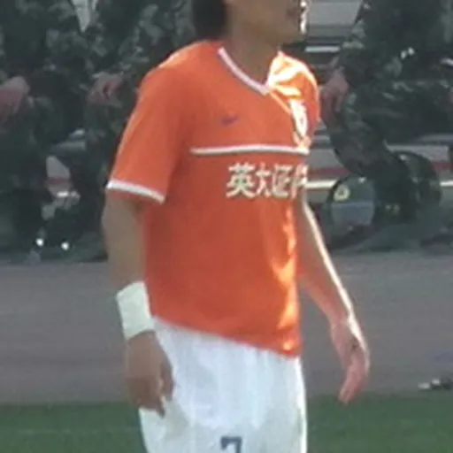 Portrait of Liu Jindong