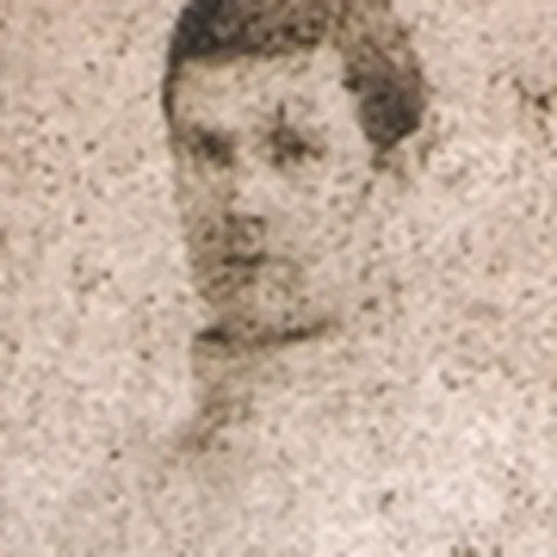Portrait of Israel Pike