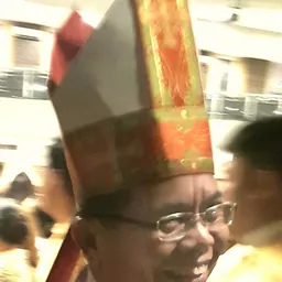 Portrait of Ludovikus Simanullang