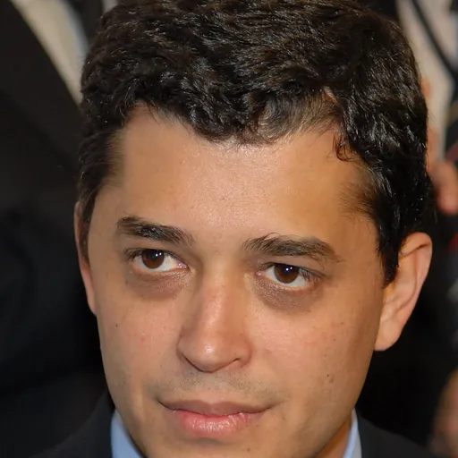 Portrait of Antônio Pedro de Siqueira Indio da Costa