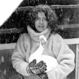 Portrait of Jane Wodening