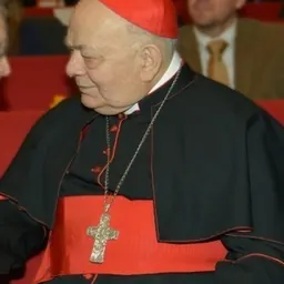 Portrait of Elio Sgreccia
