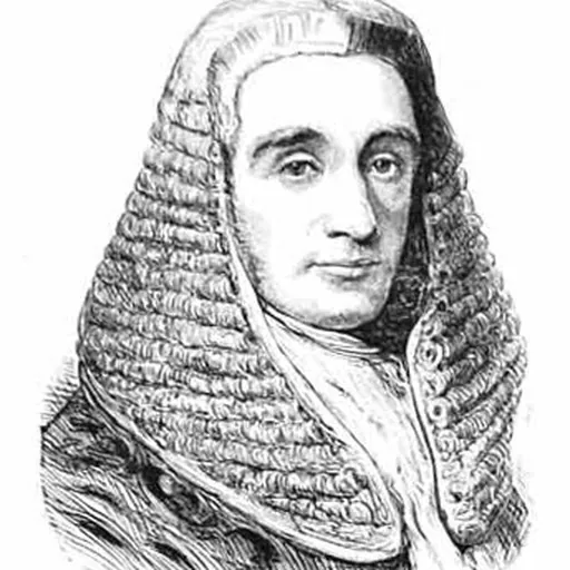 Portrait of Sir Joseph Napier, 1st Baronet