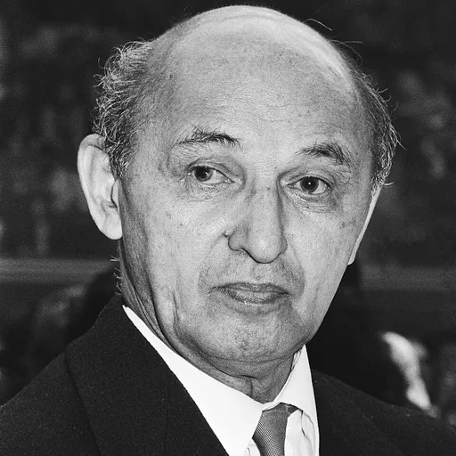 Portrait of Johan Manusama