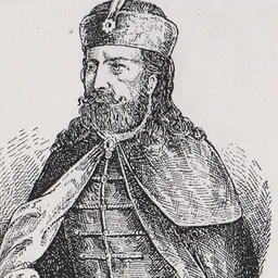 Portrait of Vuk Grgurević