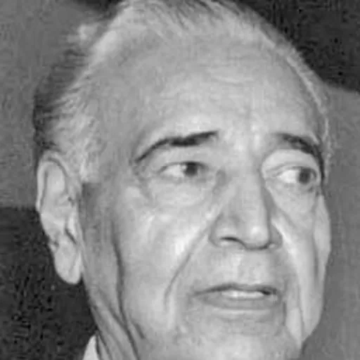 Portrait of Abbas Khalili