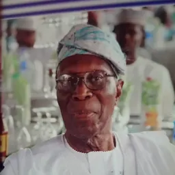 Portrait of Karim Olowu
