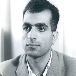 Portrait of Rostam Bastuni