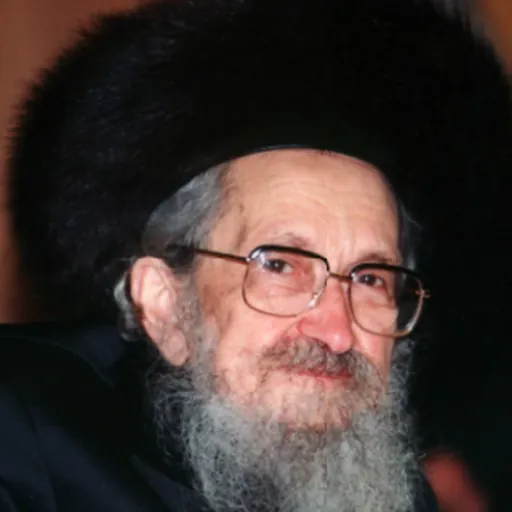 Portrait of Sholom Noach Berezovsky