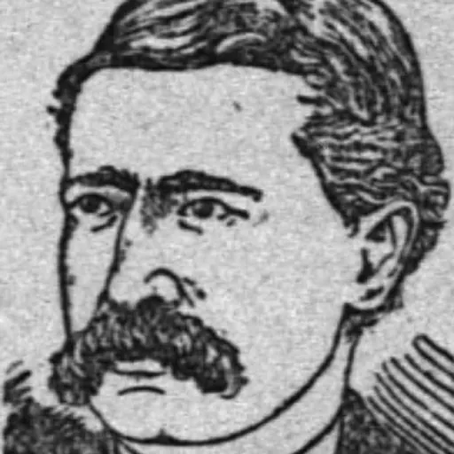 Portrait of Wiley Scribner