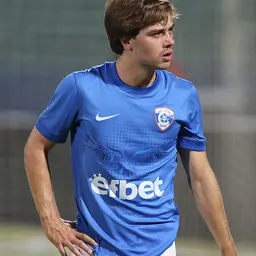 Portrait of Bernardo Couto